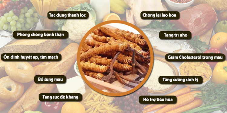 Thực Phẩm Chức Năng Viên Uống Đông Trùng Hạ Thảo Alltimes Care Platinum Cordyceps (Hộp 60 Viên)